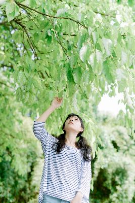 花房姑娘8电视剧免费观看