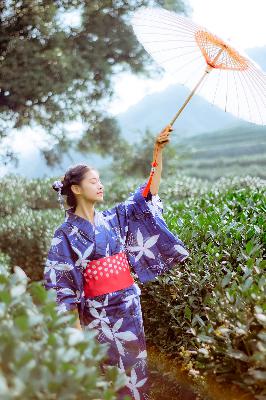 野性的青春,狂野少女免费完整版中文